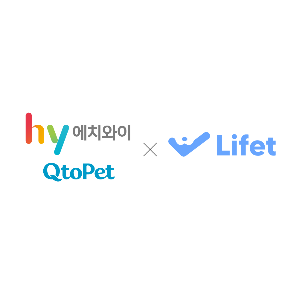 십일리터, hy 반려동물 플랫폼 '큐토펫'에 AI 슬개골·비만 분석 솔루션... - 뉴스 썸네일 이미지